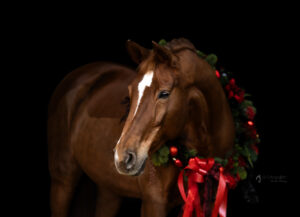Celine-und-Lubi-Xmas-(288)_web