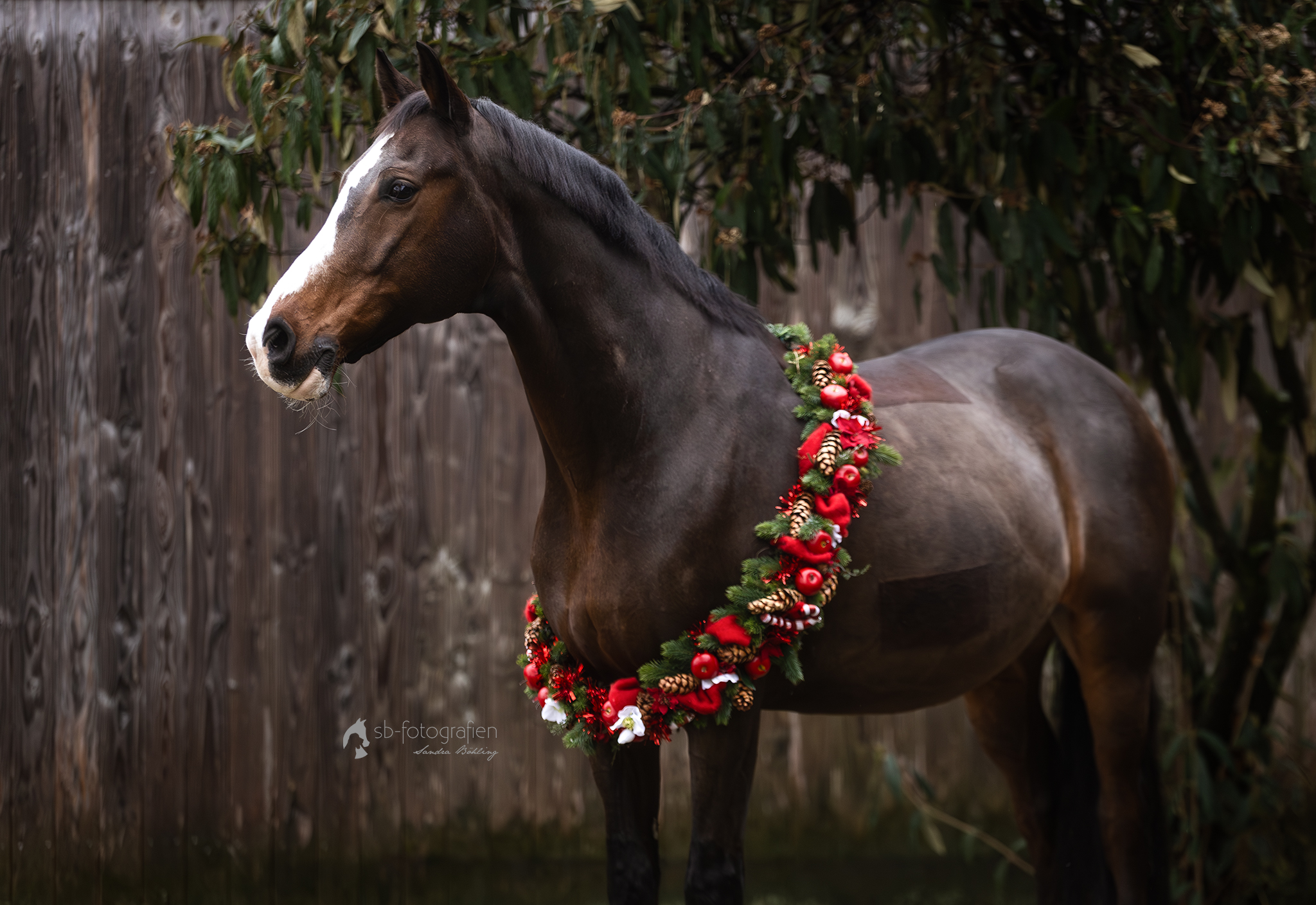 Nina-und-Amiro-(266)_web