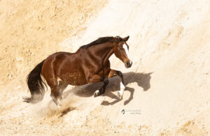 Sabine,-Lilly-und-Rubi-(306)_web